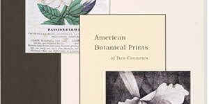 American Botanical Prints of Two Centuries